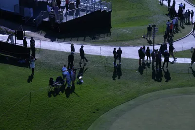 DSC_0733 (Large).JPG